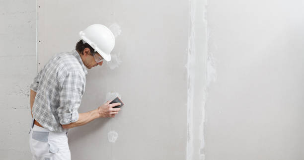 Best Post-Construction Mold Inspection  in Dixon, CA