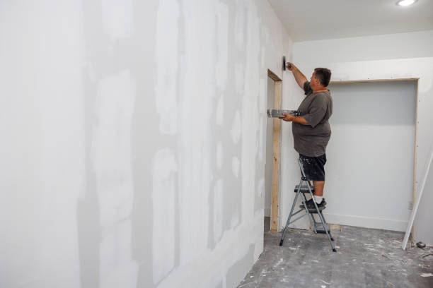 Best Mold Odor Removal Services  in Dixon, CA